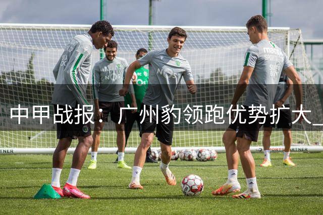 中甲战报：广州豹领跑优势扩大 南通宁波冲超形势不利