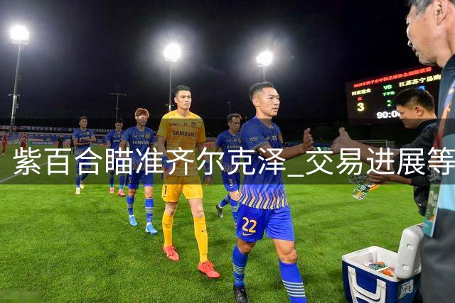 紫百合瞄准齐尔克泽 交易进展等待球员回应