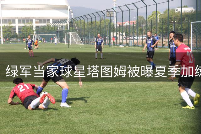 绿军当家球星塔图姆被曝夏季加练拳击 主帅亲自陪练