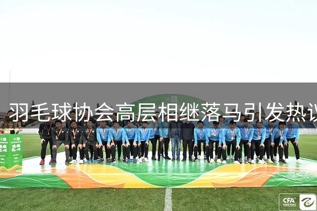 羽毛球协会高层相继落马引发热议